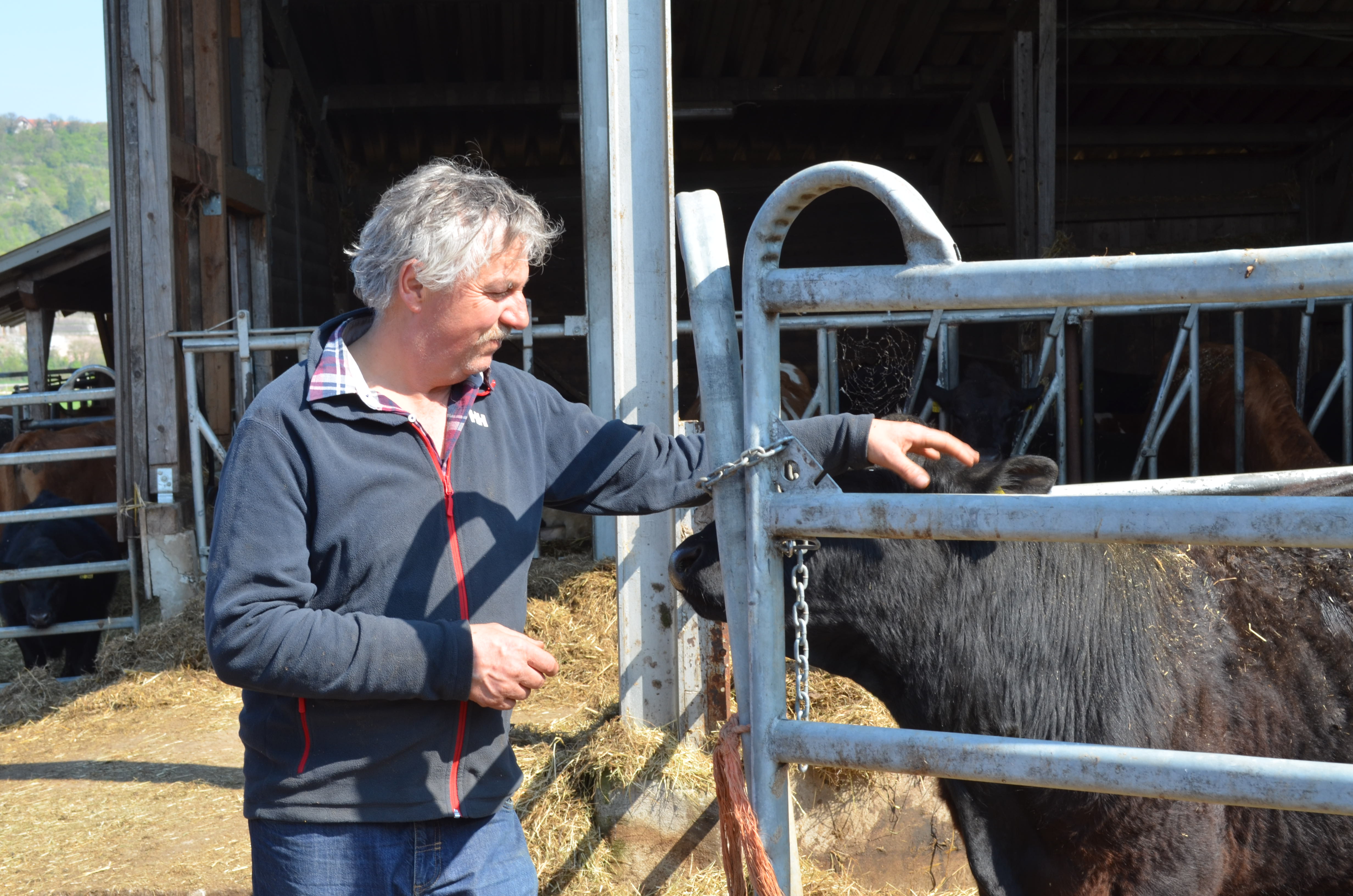 Jürgen Heinrich bioladen - biokiste