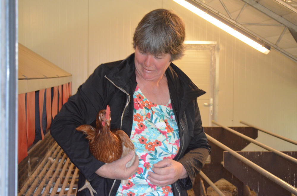 bioeier - bioladen -biokiste - biofreihaus