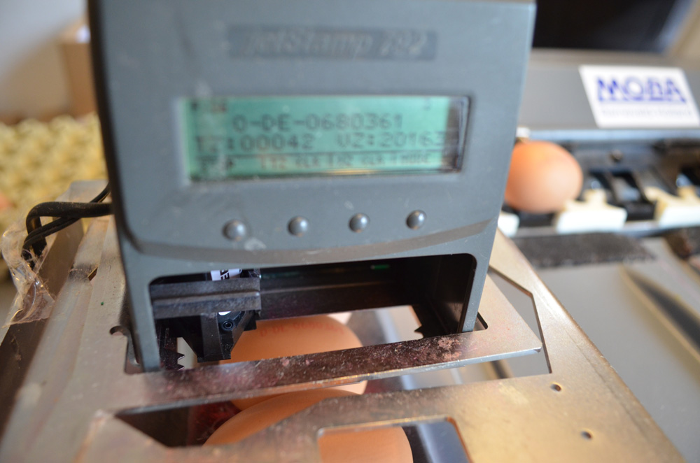 bioeier - bioladen -biokiste - biofreihaus