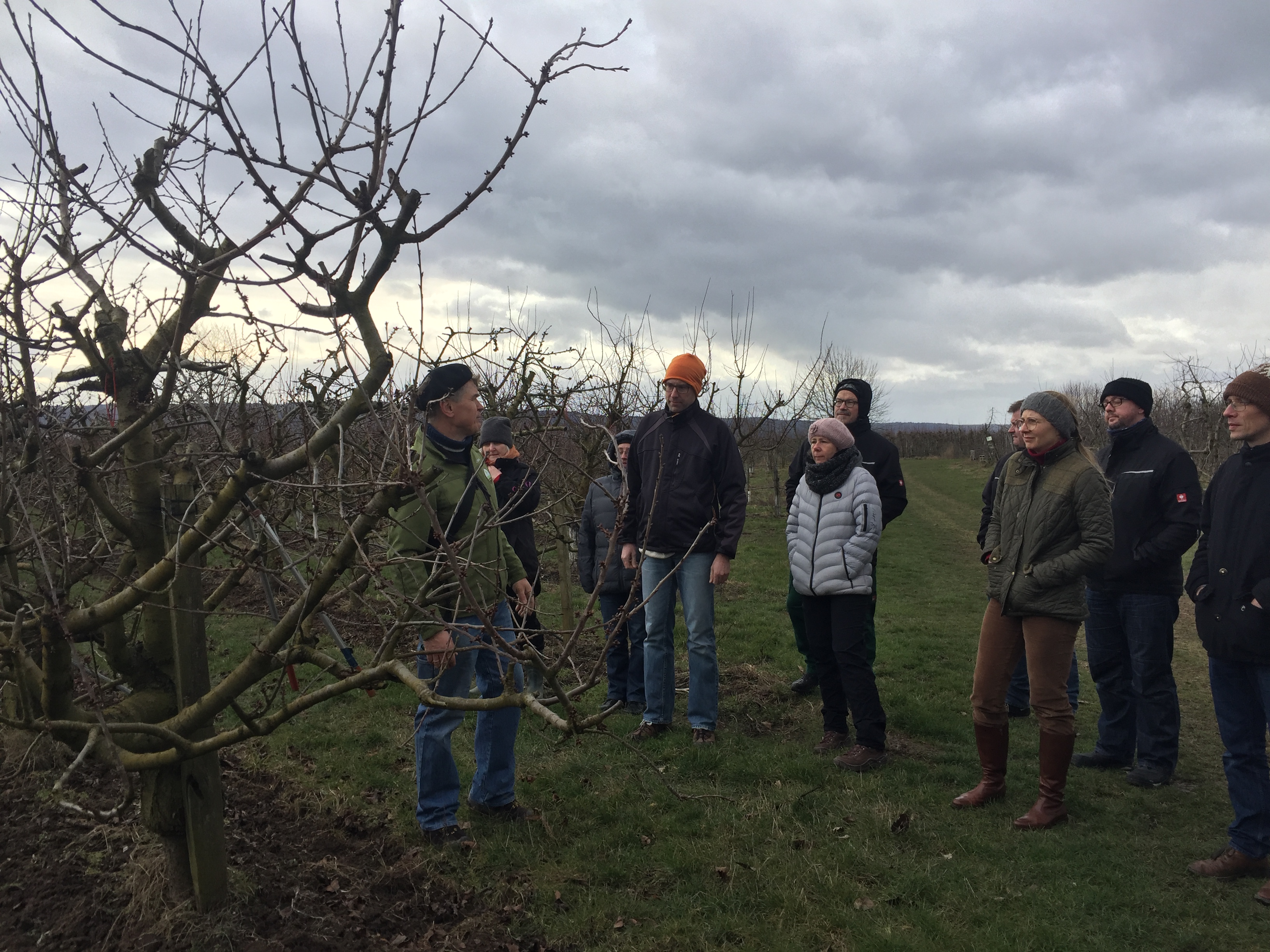 Baumschnit Teilnehmer 1