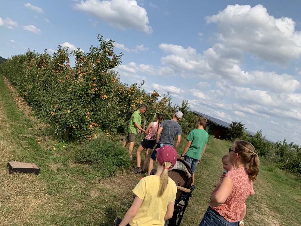 Ernten Familiennachmittag