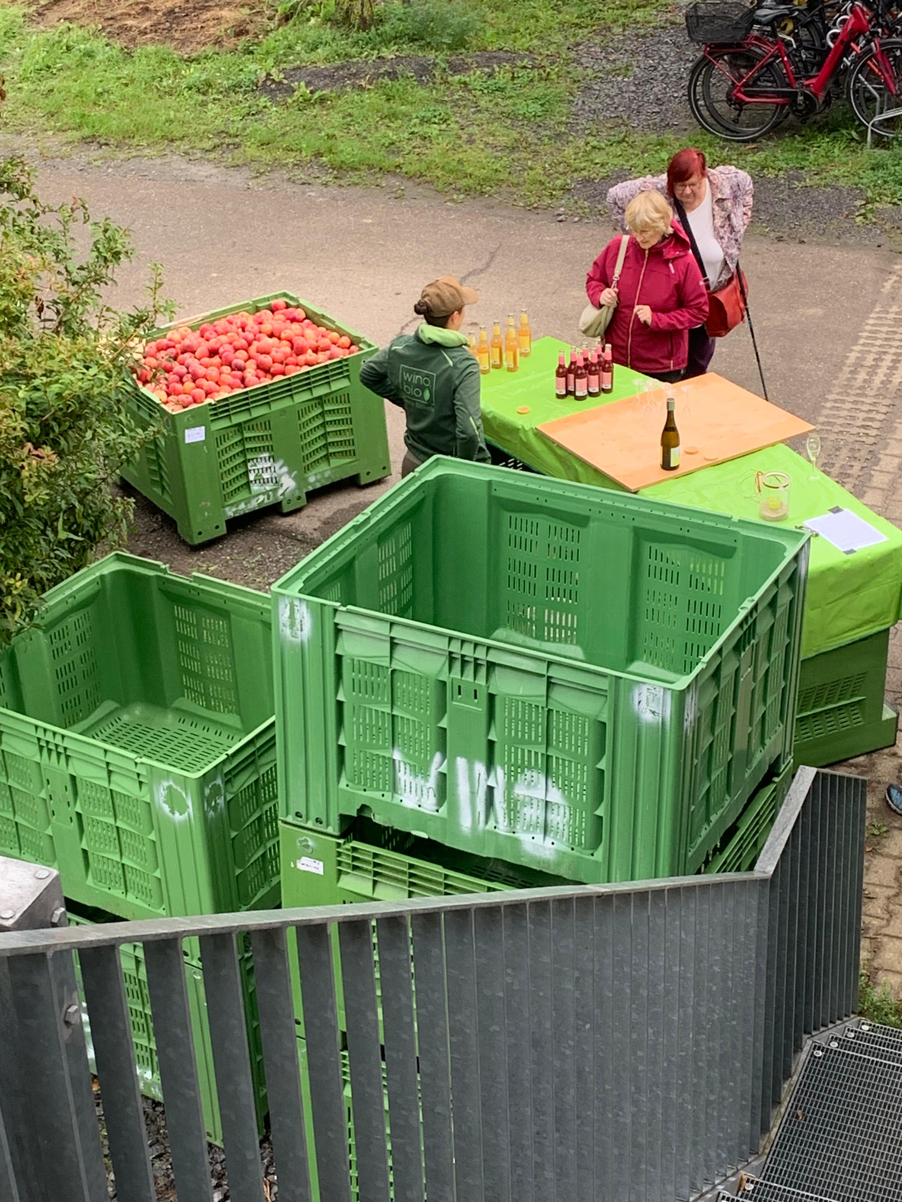 Wino Bio - Einweisung Winoversum - Verkauf Obst