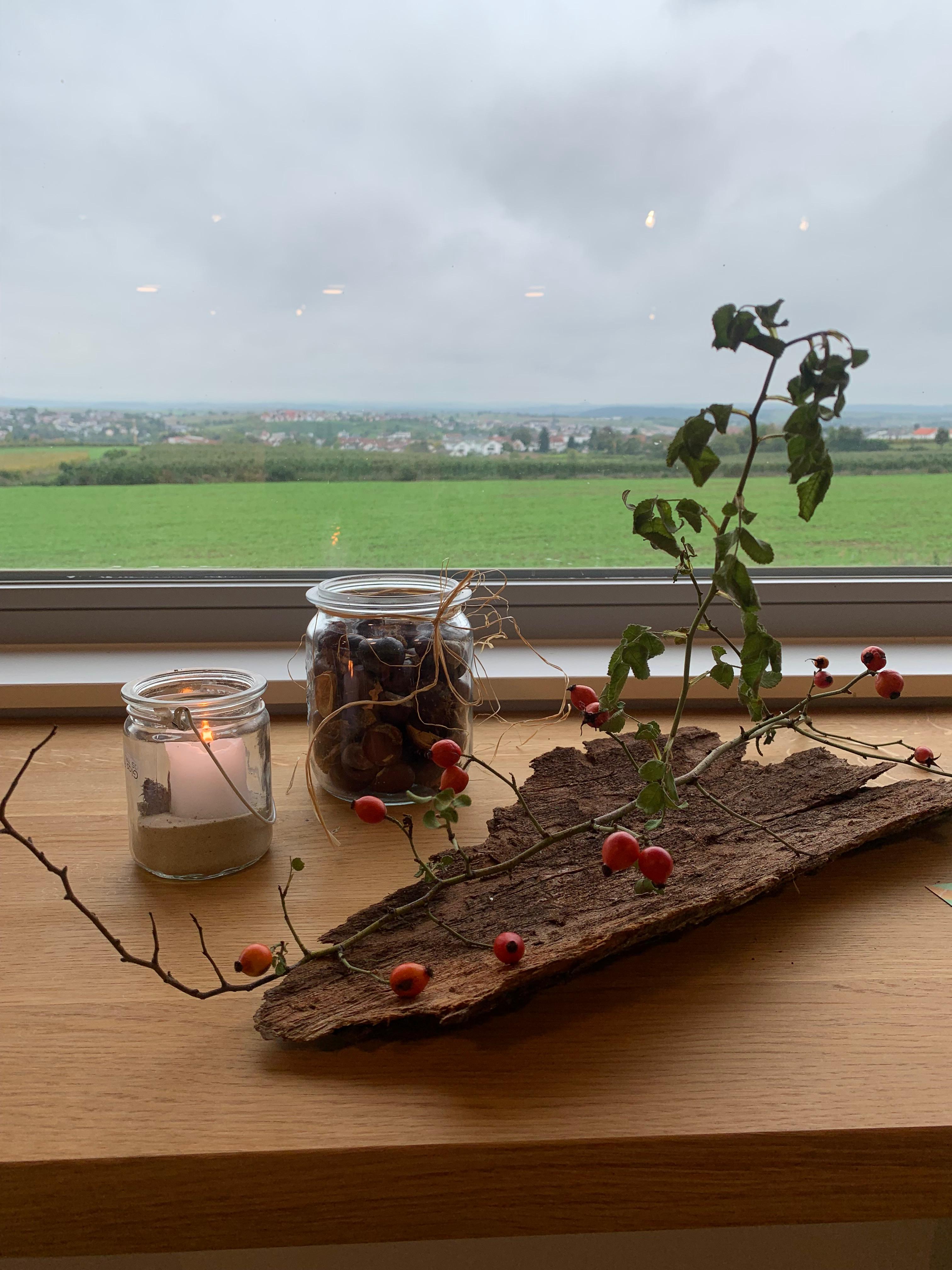 Wino Bio - Einweisung Winoversum - Deko