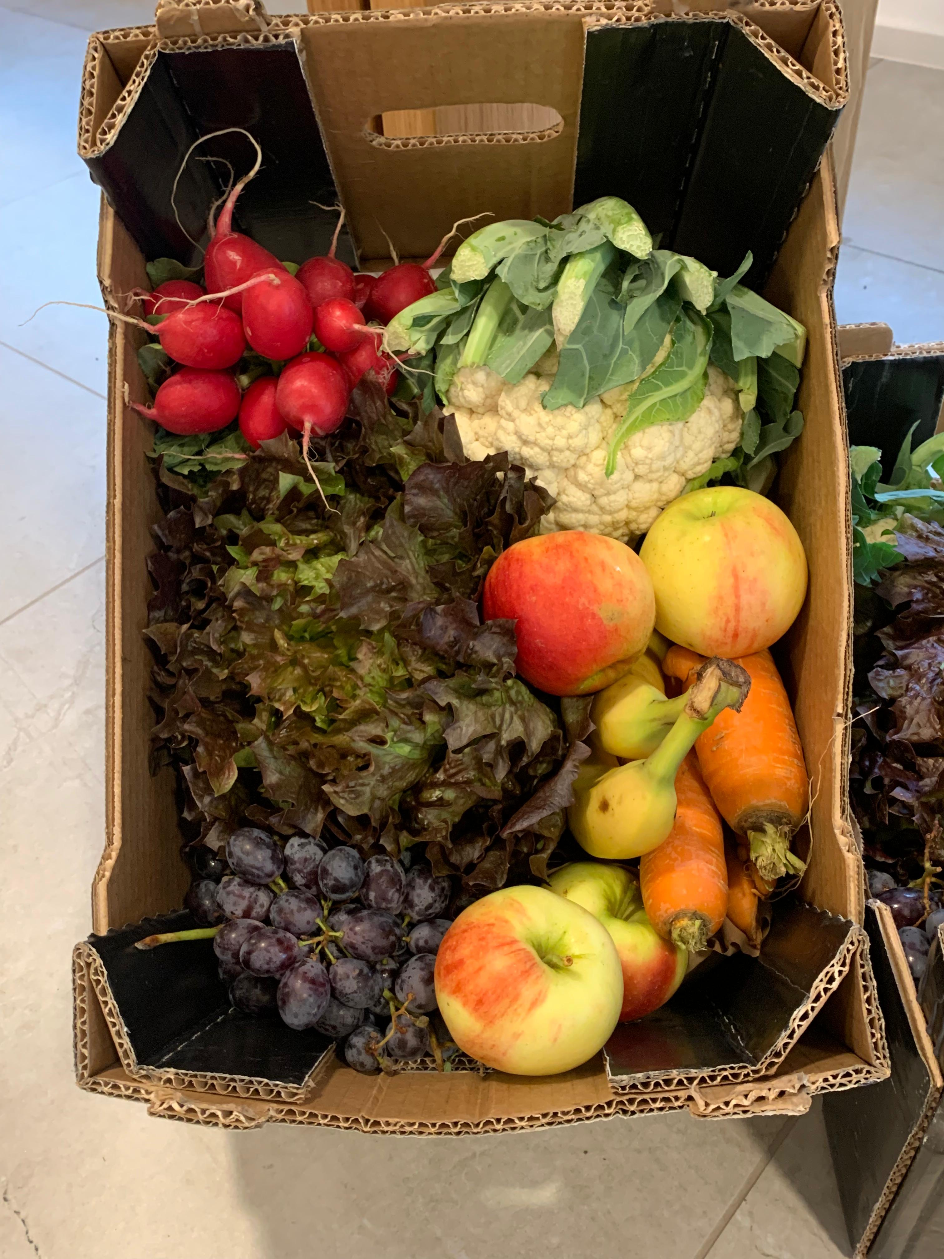 Wino Bio - Einweisung Winoversum - Biokiste