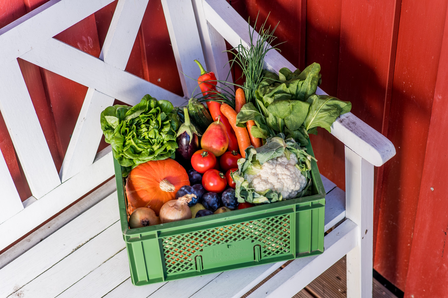 Biokiste Mitarbeiter wino Liefern Firma Unternehmen